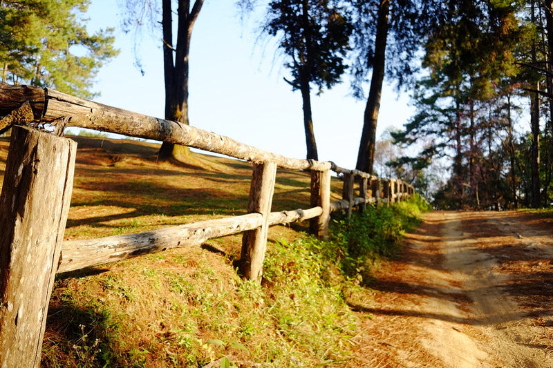 Fence Posts & Rails