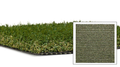 Turf - Maxx Natural Tall - Clark & Co. Hardscape Supply