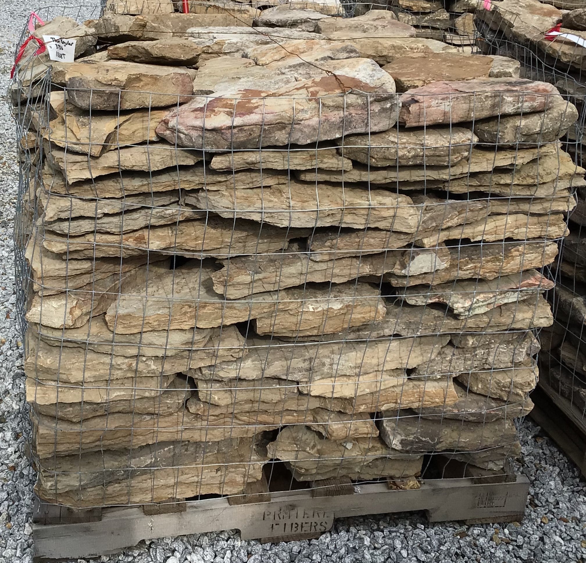 Fieldston Thin Regular.jpg