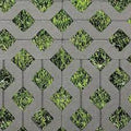 Belgard Turfstone Permeable Paver - Gray  16" x 24" x 3-1/8" - Clark & Co. Hardscape Supply