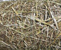 Straw Matting Double Net - Roll - Clark & Co. Hardscape Supply