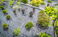 Landscape Fabric 6oz - Clark & Co. Hardscape Supply